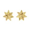 Accessories Charlie Pickles | Star Stud Earrings In Gold Sparkle