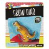 Toys & Fun Stuff Charlie Pickles | Grow Dino